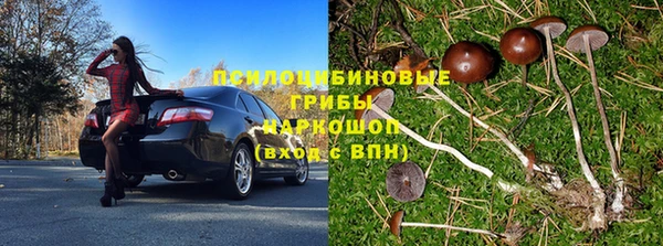 бошки Алексин