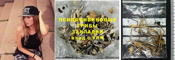 бошки Алексин