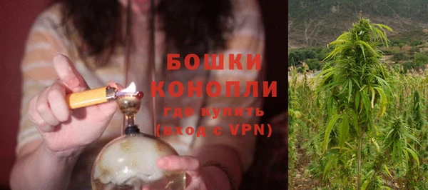 бошки Алексин