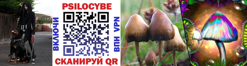 Купить  Снежногорск  Галлюциногенные грибы MAGIC MUSHROOMS 