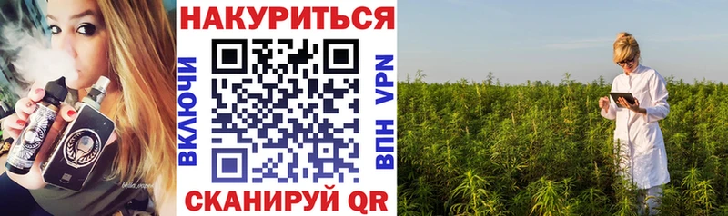 Шишки марихуана White Widow  Купить закладки  Снежногорск 